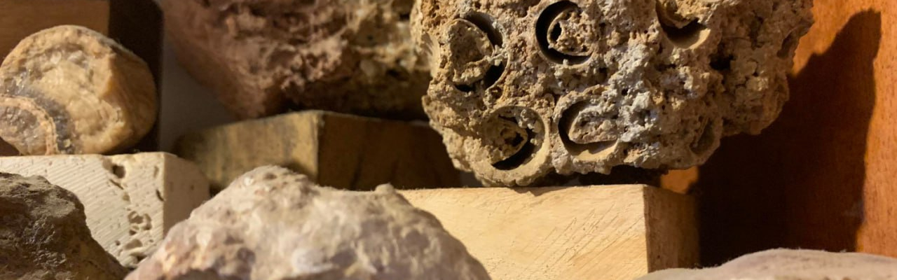 Unusual Exhibition at the Art Museum Showcases Archaeological Collection