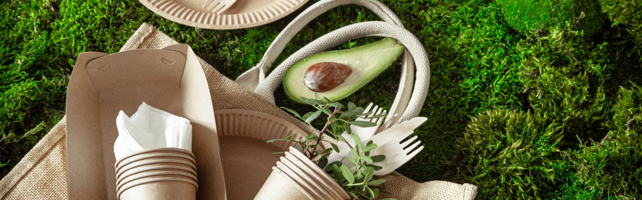 An eco-friendly alternative to disposable cups