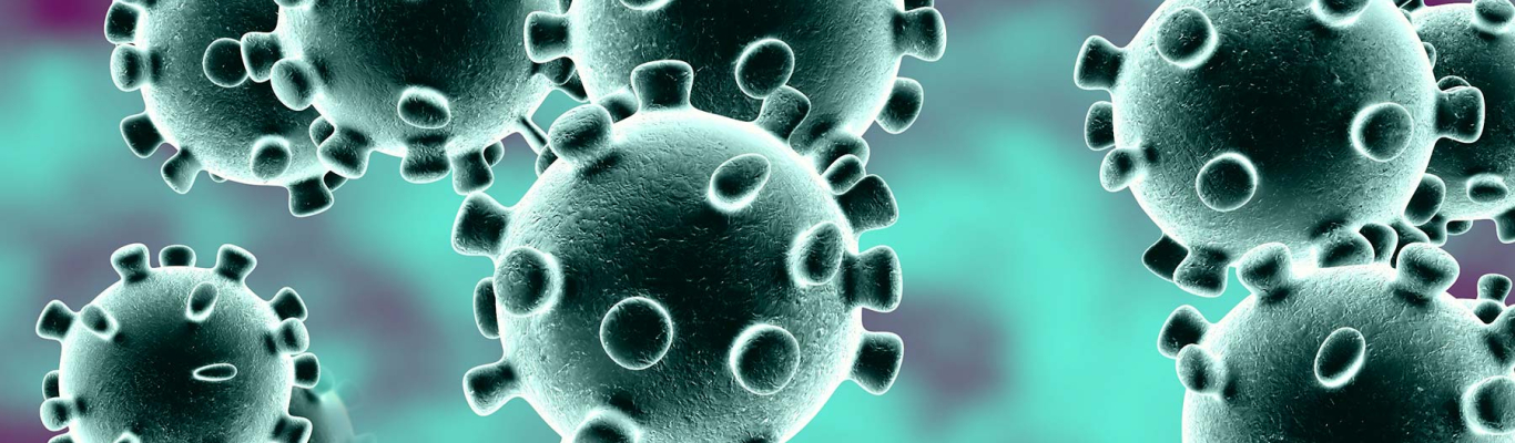 коронавирус