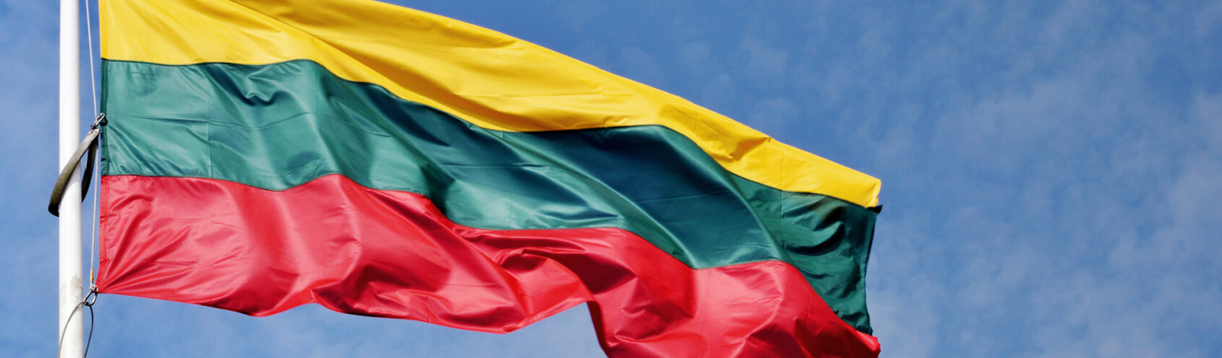 Литва флаг