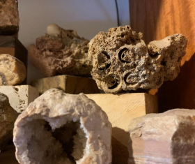 Unusual Exhibition at the Art Museum Showcases Archaeological Collection