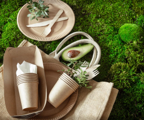 An eco-friendly alternative to disposable cups