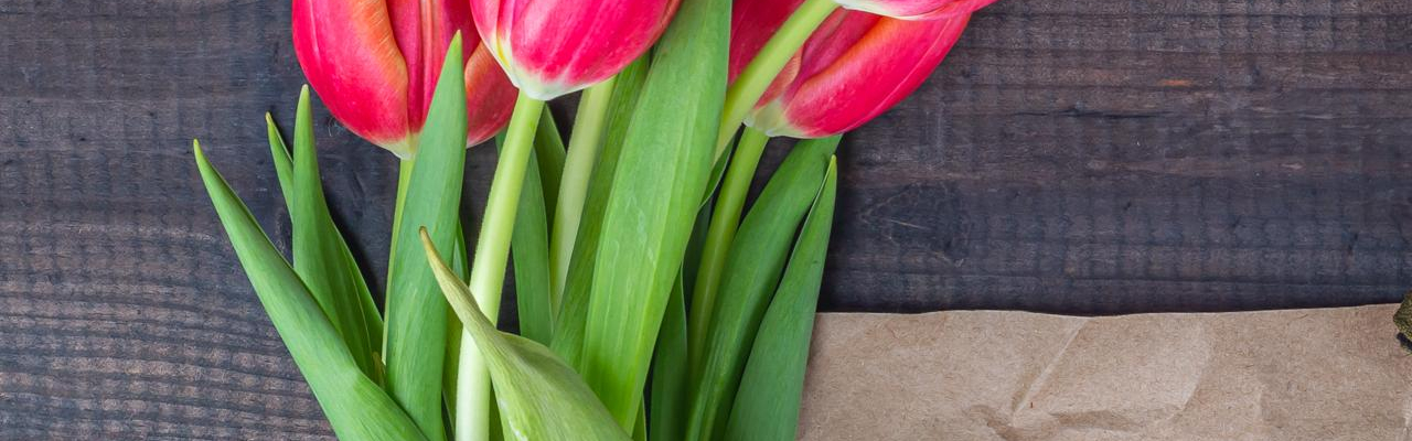 Victory Day Celebrations at the Botanical Garden