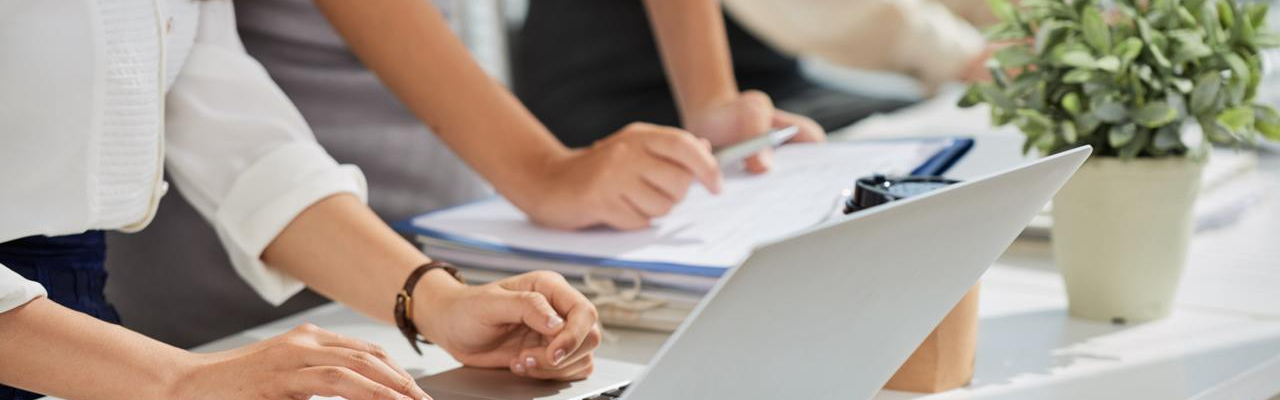 "Management of information resources" at Francisk Skorina Gomel State University